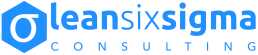 LSS lean six sigma consulting Nederland